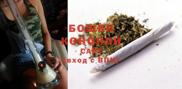 прущие грибы Ельня