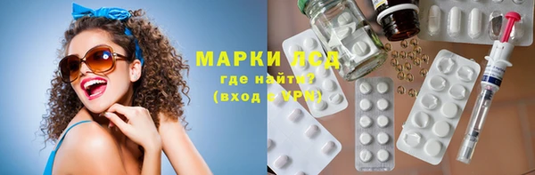 прущие грибы Ельня