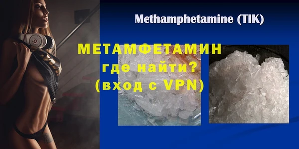 прущие грибы Ельня