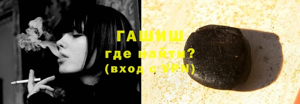прущие грибы Ельня