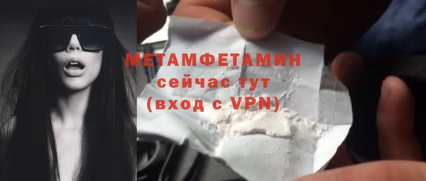 прущие грибы Ельня