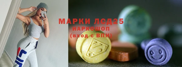 прущие грибы Ельня