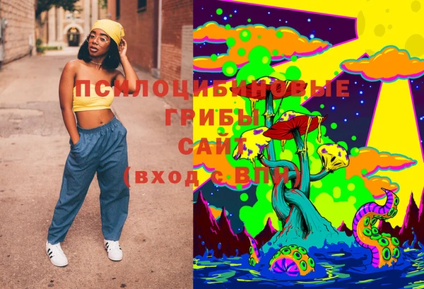 прущие грибы Ельня