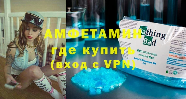 прущие грибы Ельня