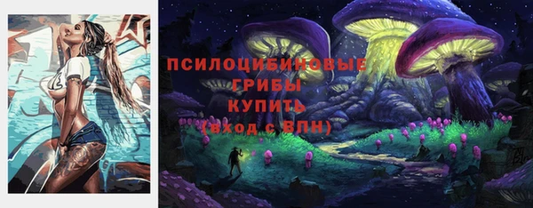 гашик Елабуга