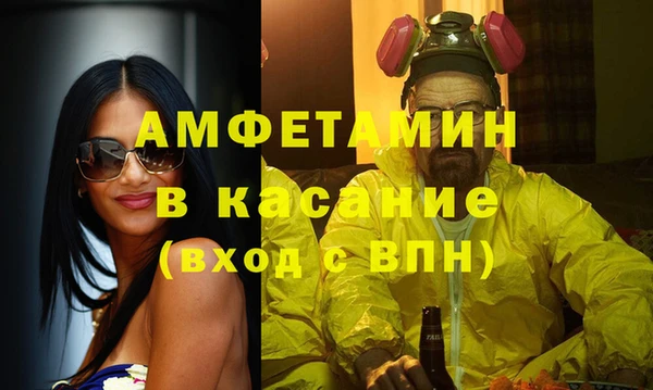 прущие грибы Ельня