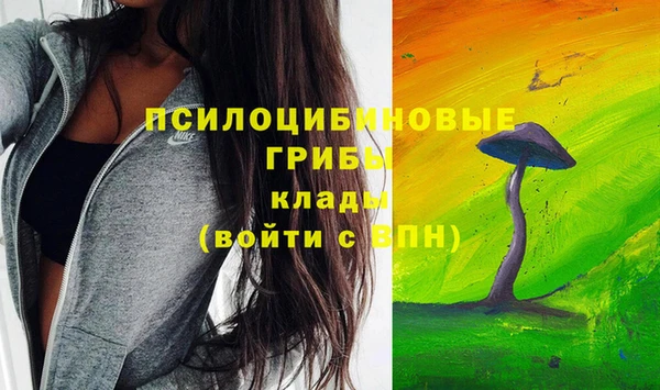 прущие грибы Ельня