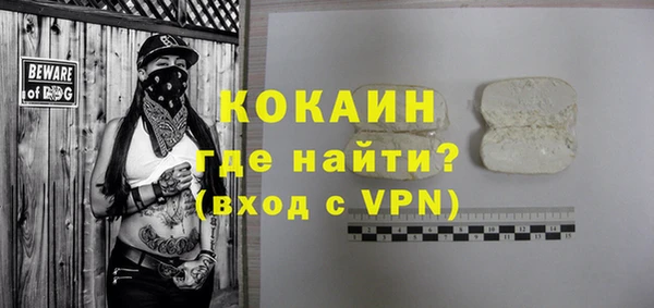 прущие грибы Ельня