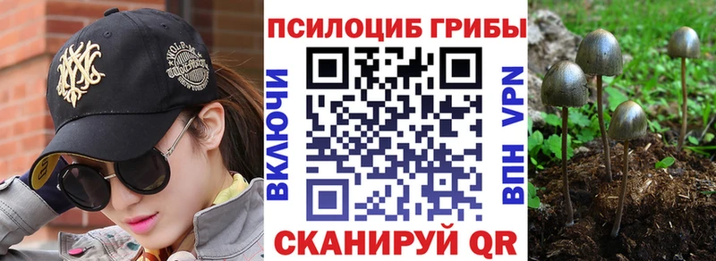 Псилоцибиновые грибы Psilocybine cubensis  Купить где  Власиха 