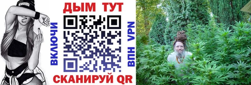 Купить где  Власиха  Бошки Шишки ГИДРОПОН 